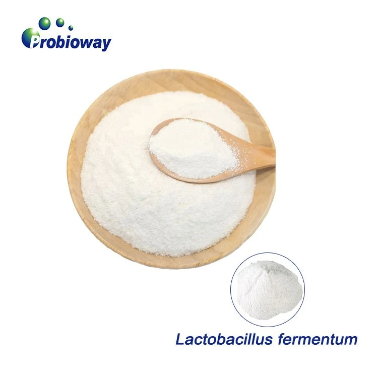 Produzzjoni ta 'Prebiotics
