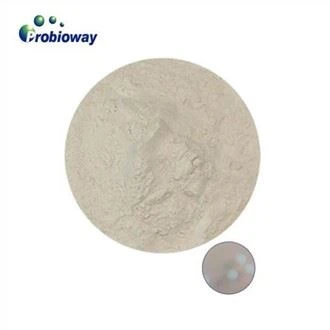 Trab Pediococcus Pentosaceus