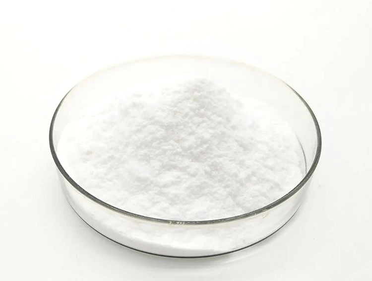 Ococcus Probiotics.jpg Ococcus Probiotics.jpg